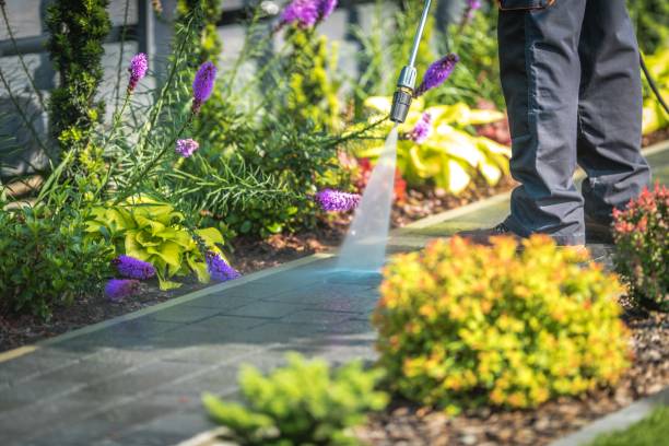 Best Driveway Pressure Washing  in Spring Valley Village, TX